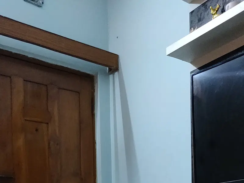 PETS PARADISE VETERINARY CLINIC, photo 2