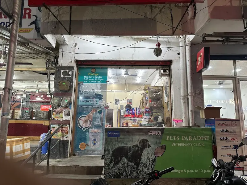 PETS PARADISE VETERINARY CLINIC, photo 3