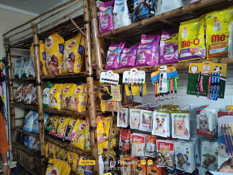 PETS PARADISE VETERINARY CLINIC, photo 4