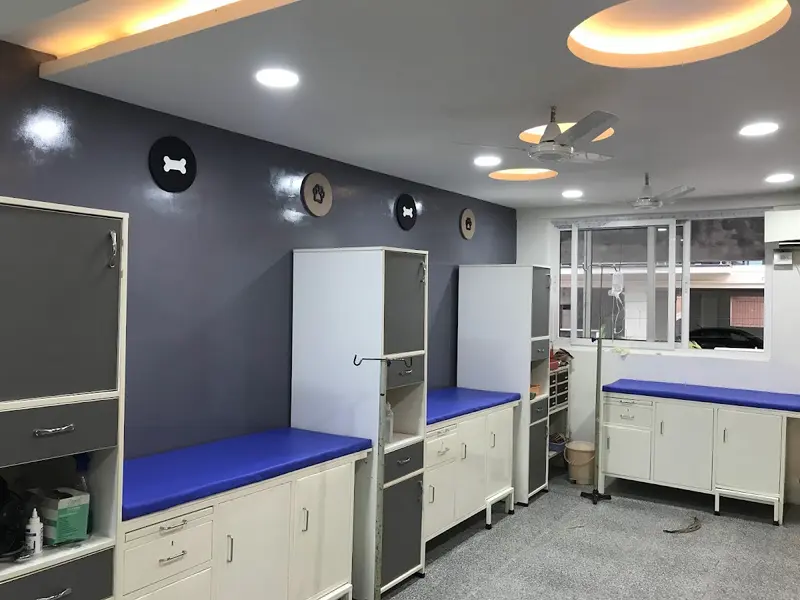 Dr Dog Pet Hospital, photo 2