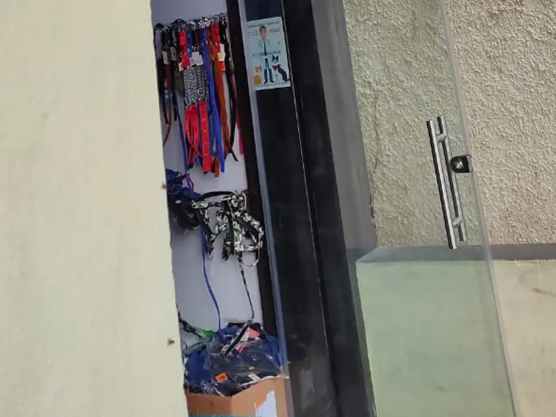 Pets Mall, photo 2