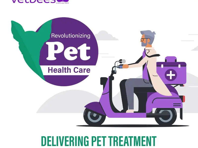 Vetbees - Delivering Pet Treatment At Doorstep, photo 3