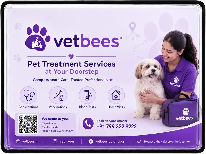 Vetbees - Delivering Pet Treatment At Doorstep, photo 4