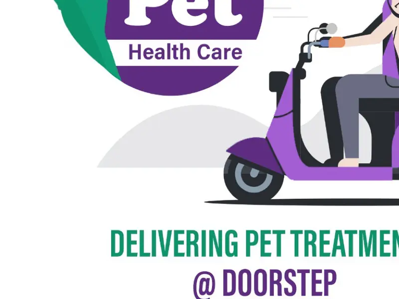 Vetbees - Delivering Pet Treatment At Doorstep, photo 5