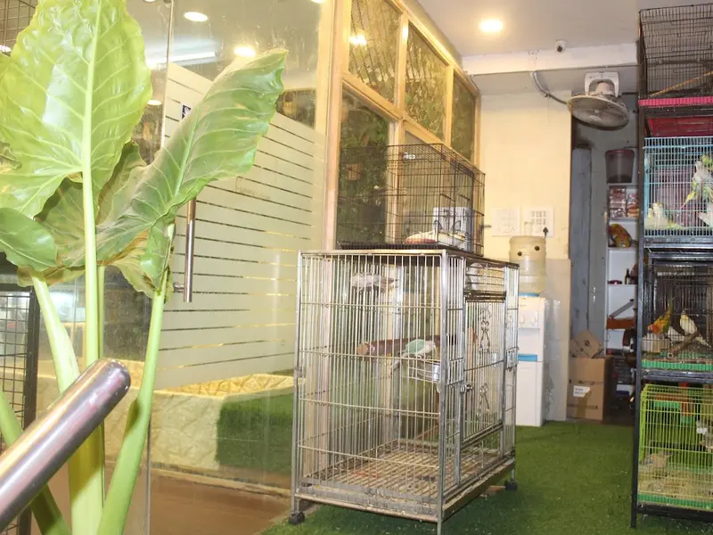 A’B’C' DOG KENNEL, photo 4