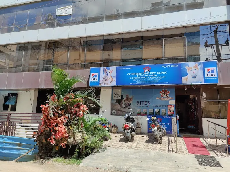Cornerstone Pet Clinic, photo 3