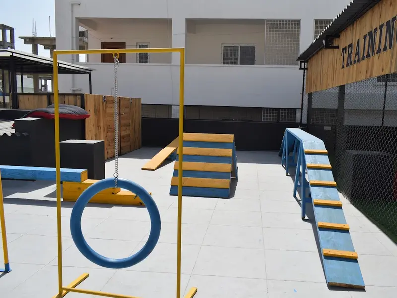 Doggy Ville – Pet Grooming & Boarding Hyderabad, photo 2