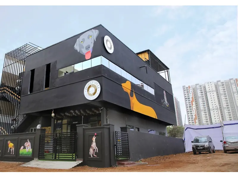 Doggy Ville – Pet Grooming & Boarding Hyderabad, photo 3