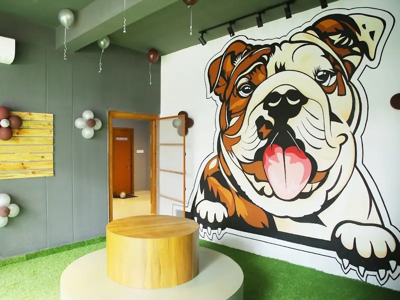 Doggy Ville – Pet Grooming & Boarding Hyderabad, photo 4
