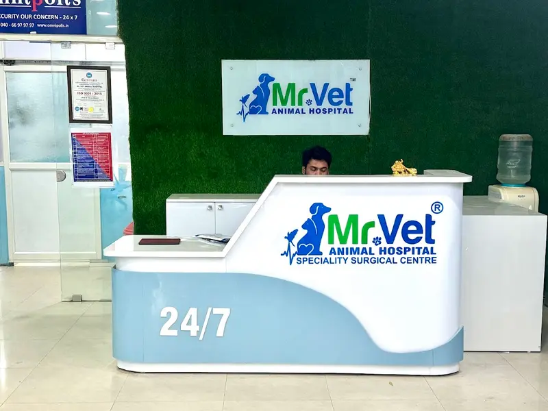 Mr.VET Animal Hospital - Multispeciality Pet Hospital-24x7, photo 2