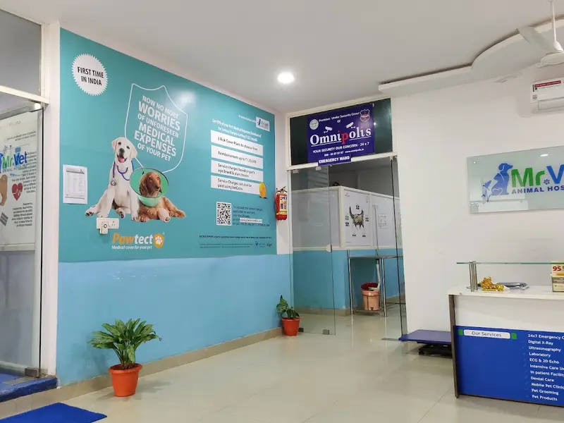 Mr.VET Animal Hospital - Multispeciality Pet Hospital-24x7, photo 3