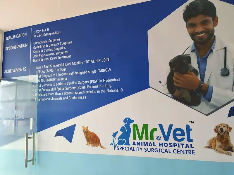 Mr.VET Animal Hospital - Multispeciality Pet Hospital-24x7, photo 4