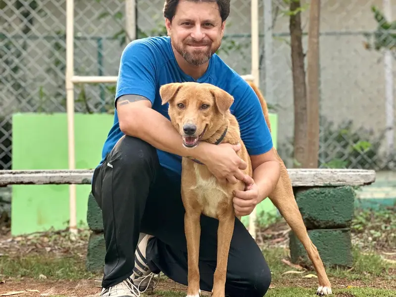 Progressive Canines, photo 4