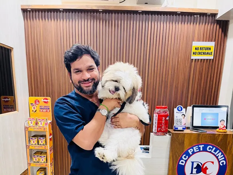 DC PET CLINIC, photo 2