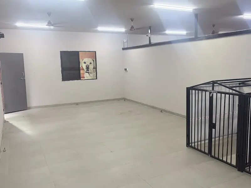 Doggy Ville – Dog Training & Socialization Hyderabad, photo 2