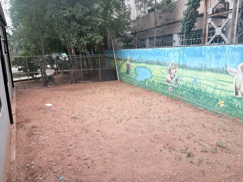 Doggy Ville – Dog Training & Socialization Hyderabad, photo 4