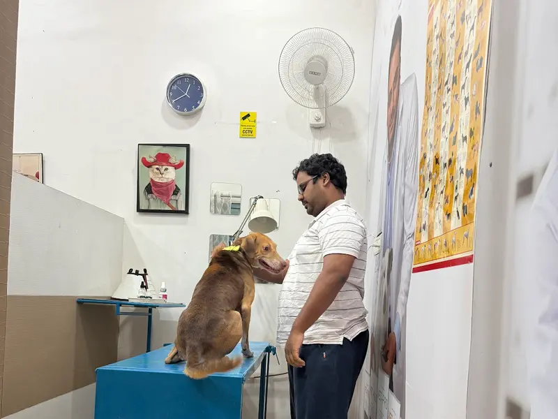 Pets Planet, photo 4