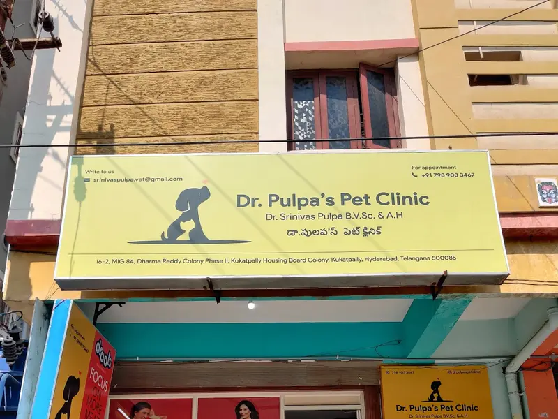 PULPA'S VETERINARY CLINIC [ Pet Grooming, Pet Accessories, Pet food ,Veterinary Medicine ], photo 3