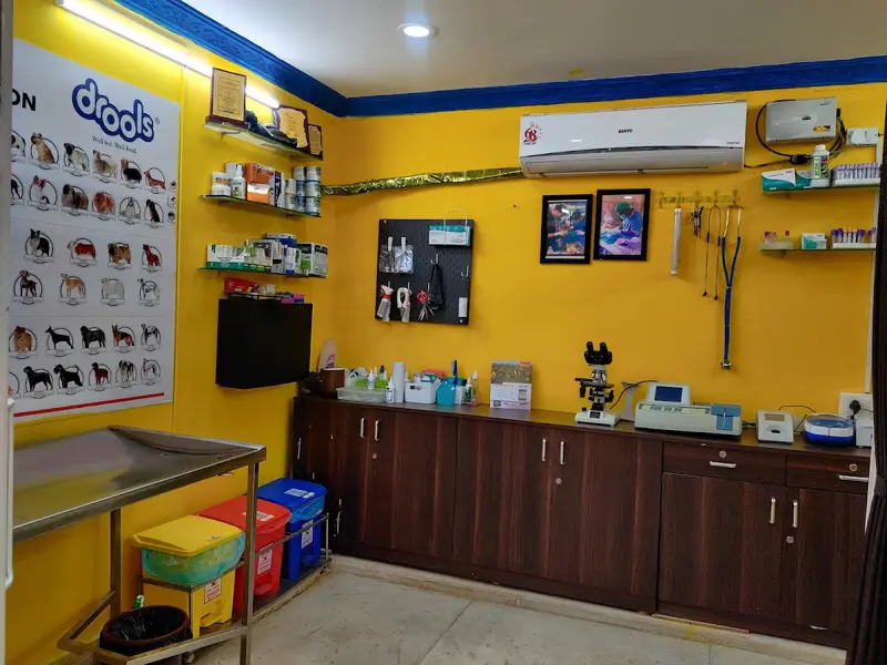 PULPA'S VETERINARY CLINIC [ Pet Grooming, Pet Accessories, Pet food ,Veterinary Medicine ], photo 4