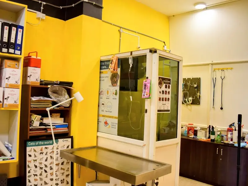 PULPA'S VETERINARY CLINIC [ Pet Grooming, Pet Accessories, Pet food ,Veterinary Medicine ], photo 5