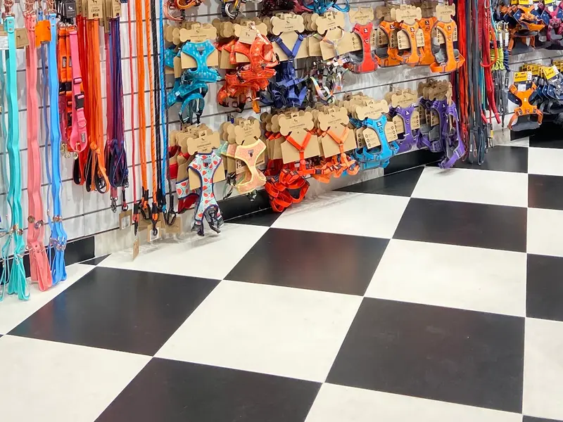 Heads Up For Tails Pet Store & Spa - Himayatnagar, Hyderabad, photo 5