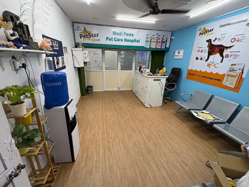 Medi Paws Pet Care Hospital, photo 2