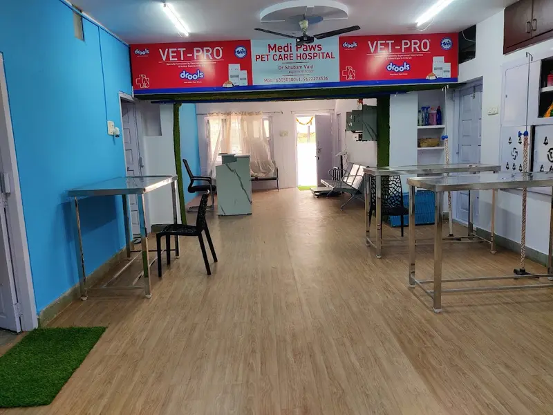 Medi Paws Pet Care Hospital, photo 3