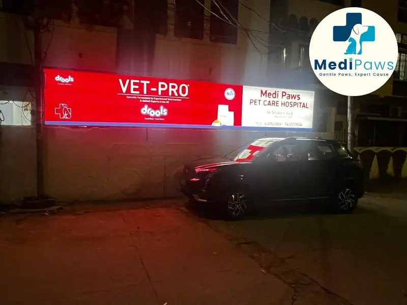 Medi Paws Pet Care Hospital, photo 5