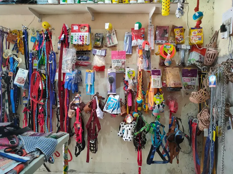 Nutan Medical Hall, photo 4