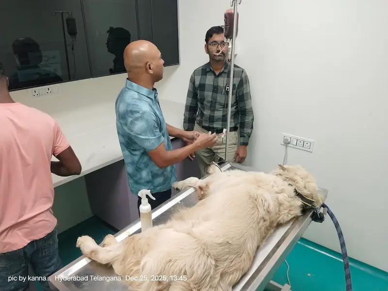 Pawfex Multispeciality Pet Hospital | Pawfect, photo 3