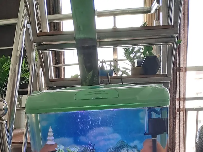 Satish Fish Aquariums, photo 2