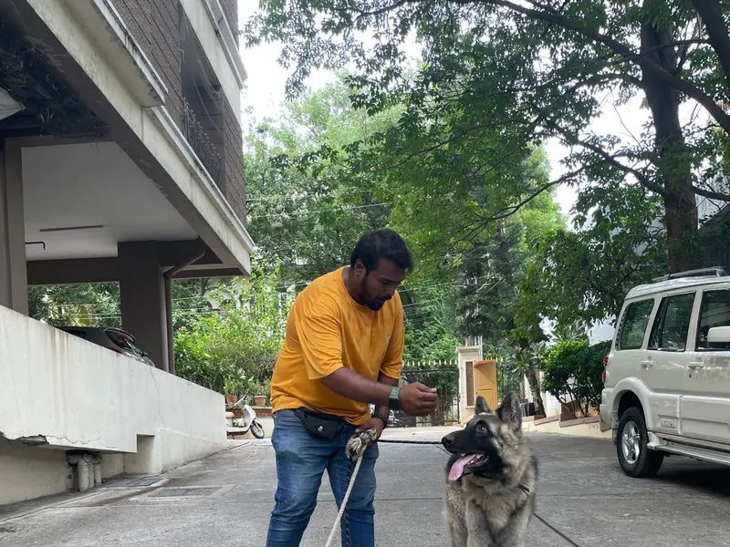 Ali's Paws Whisperer - A Professional Dog Training Center in Hyderabad, photo 3