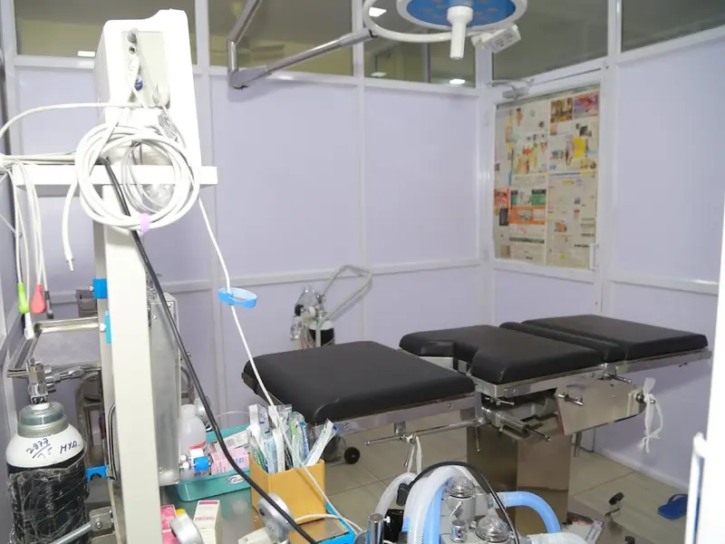 Care & Cure The Animal Hospital and surgical center., photo 3