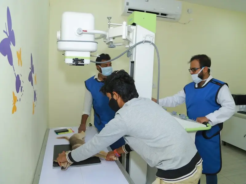 Care & Cure The Animal Hospital and surgical center., photo 5