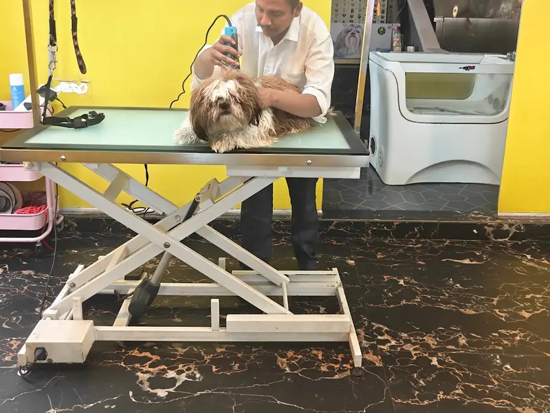 Just Groom - Best Luxury Pet Spa & Saloon in Hyderabad, photo 3