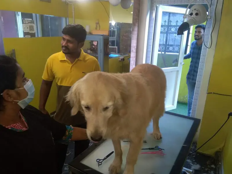 Just Groom - Best Luxury Pet Spa & Saloon in Hyderabad, photo 5