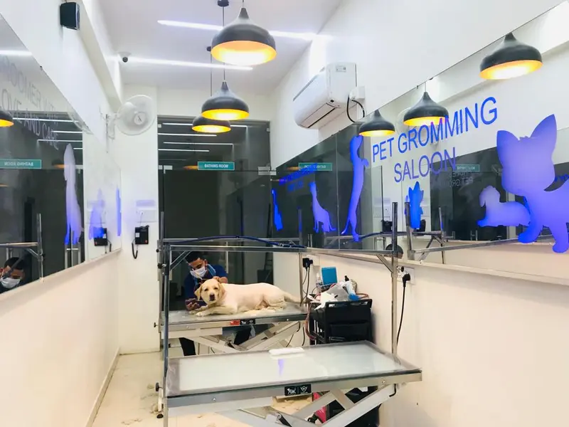 Pet's Space Grooming Parlour-Jubilee Hills, photo 4