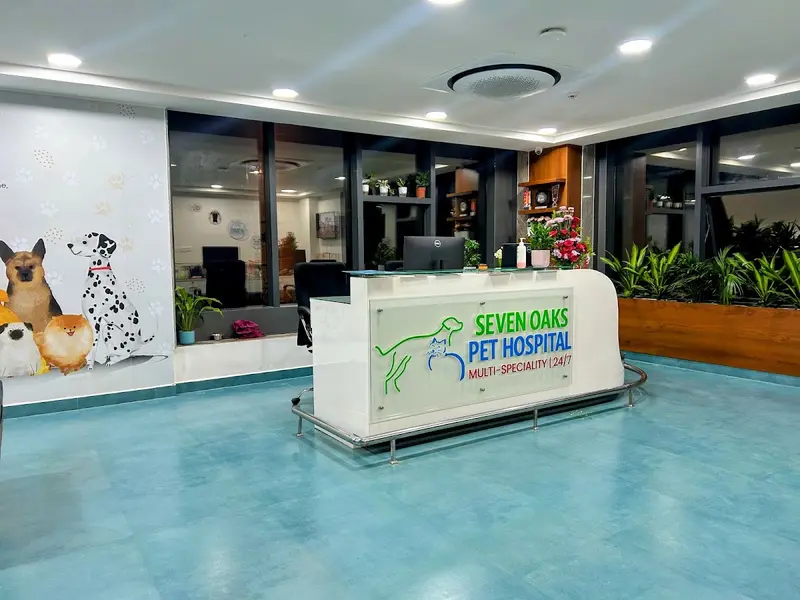 Seven Oaks Pet Hospital 24/7 Multi-Speciality, photo 5