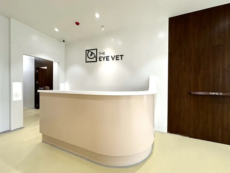 The Eye Vet, photo 2