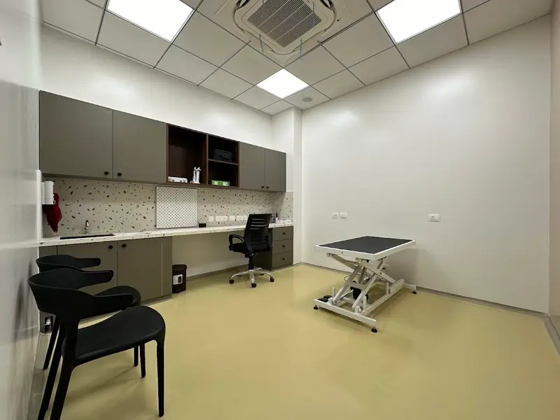 The Eye Vet, photo 4