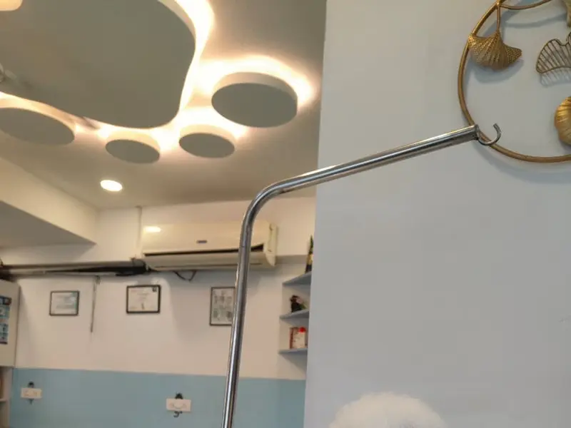 Vet N Pet Hospital, photo 2