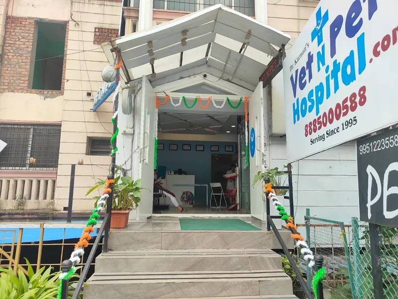 Vet N Pet Hospital, photo 5