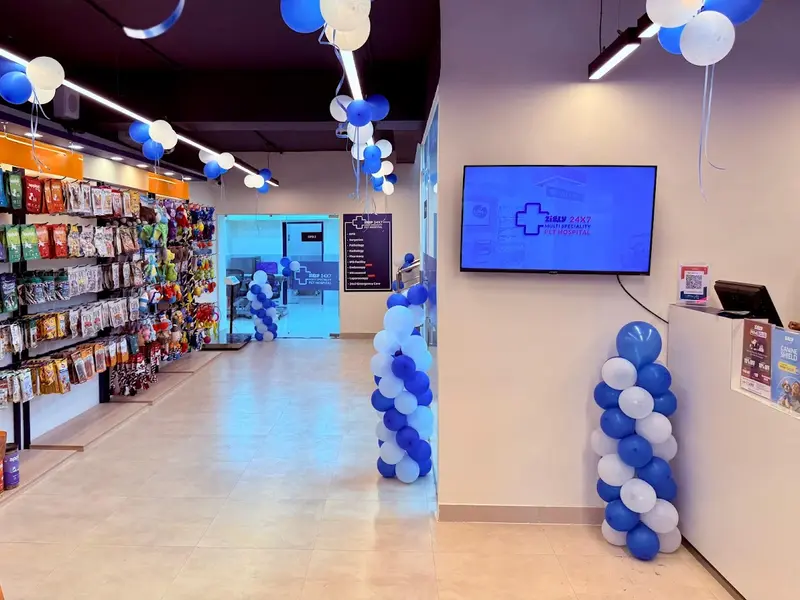 Zigly Pet Care - Pet Hospital, Pet Grooming & Pet Products | Jubilee Hills, photo 3
