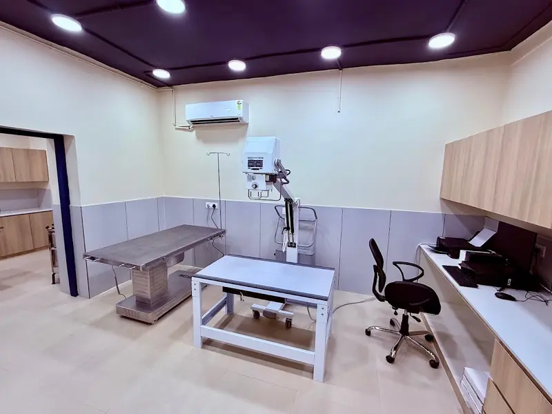 Zigly Pet Care - Pet Hospital, Pet Grooming & Pet Products | Jubilee Hills, photo 4