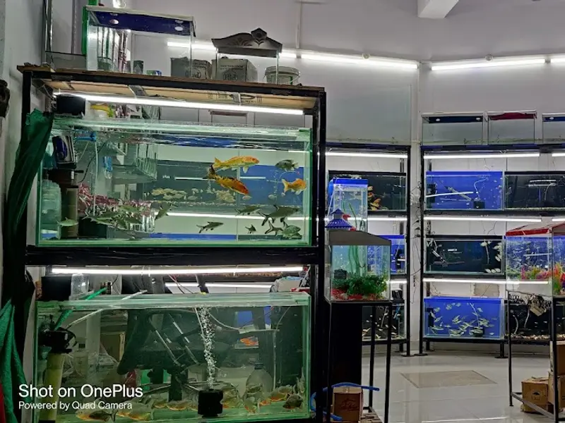 Exotic aquariums, photo 2
