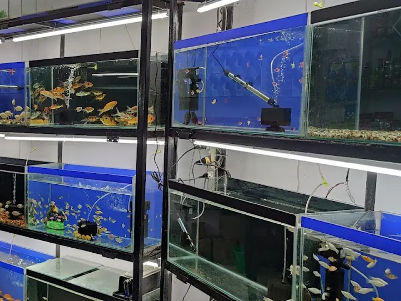 Exotic aquariums, photo 5