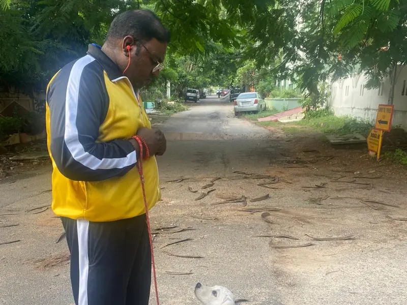 Obedience Masters Dog Trainer, photo 4