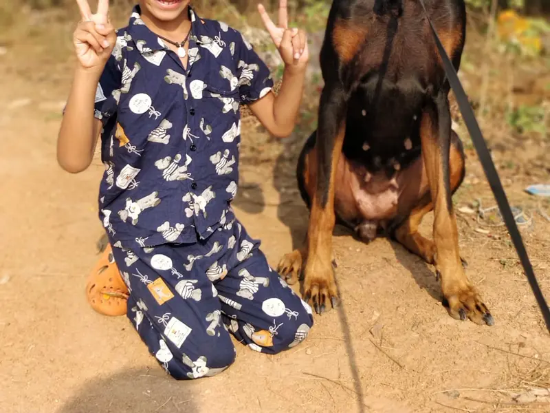 Suzi Kennels, photo 4