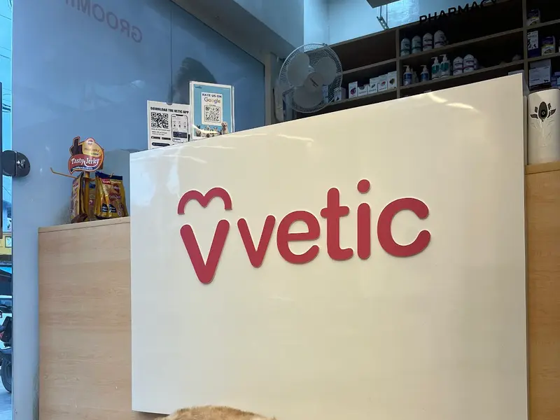 Vetic Pet Clinic Secunderabad, photo 2