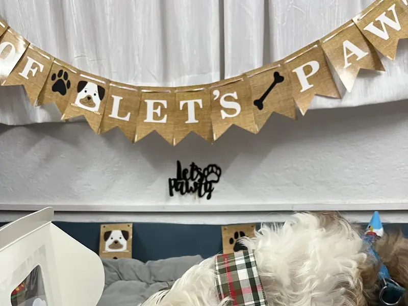 Dog.alicious, photo 4